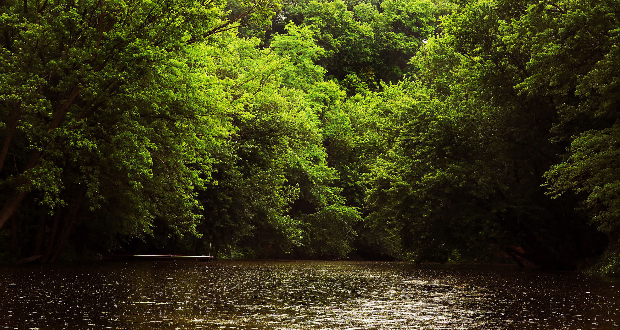 THE GREAT RIVER-0456